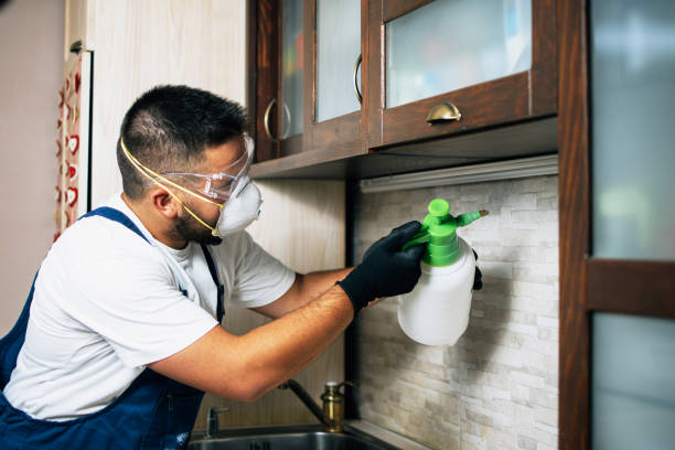 Best Best Pest Control Companies  in Jessup, PA