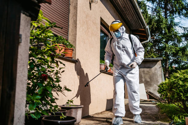 Professional Pest Control in Jessup, PA
