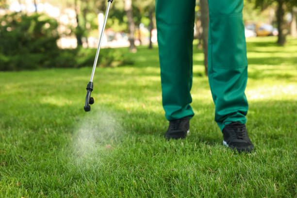Best Flea Control Services  in Jessup, PA