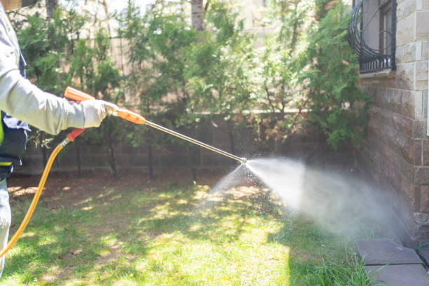Best Flea Control Services  in Jessup, PA