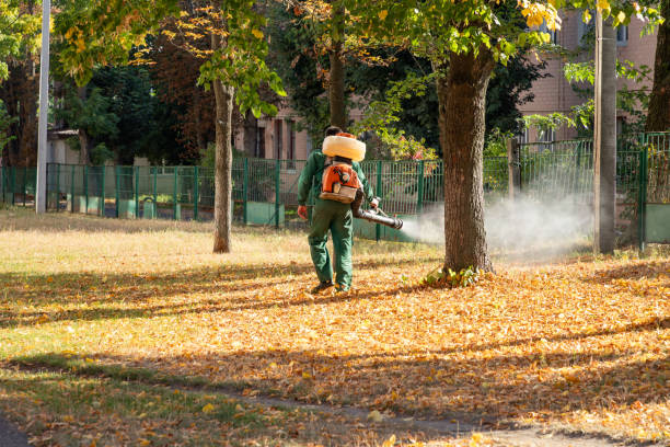 Best Pest Control for Homes  in Jessup, PA