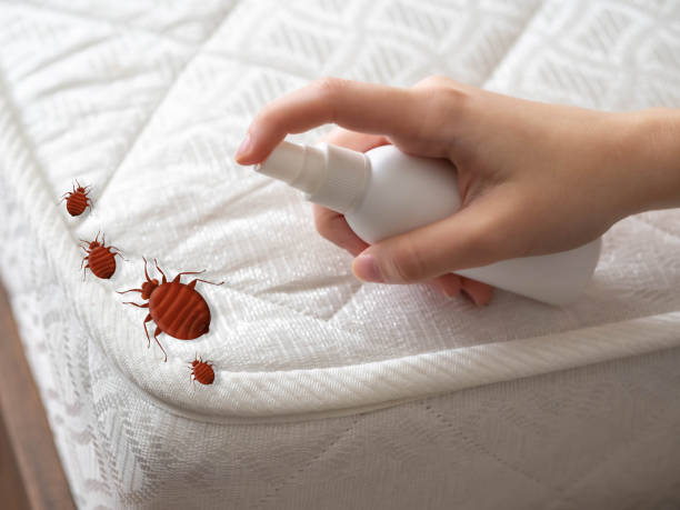 Best Cockroach Control Services  in Jessup, PA